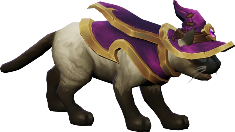 Das Haustier Familiar des Erzmagiers: eine Katze mit violettem Zaubererhut und Umhang mit Goldrand